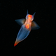 Alexander Semenov / Sony World Photography Awards